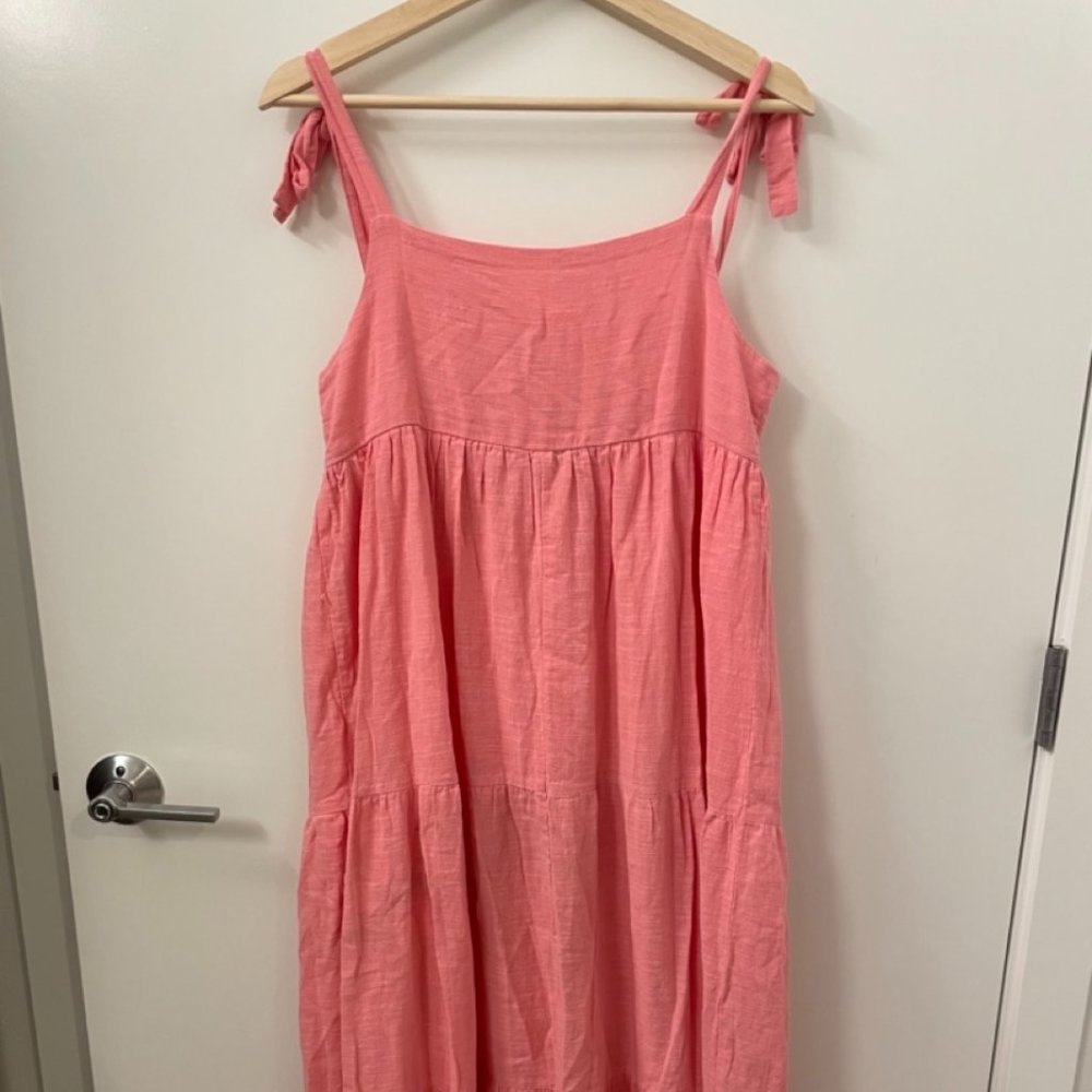 Zara Pink Maxi Dress